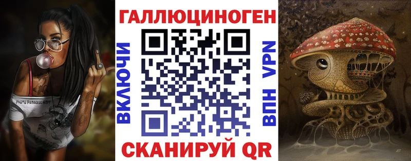Псилоцибиновые грибы Psilocybe Вихоревка