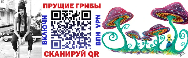 купить наркоту  Вихоревка  Псилоцибиновые грибы мухоморы 
